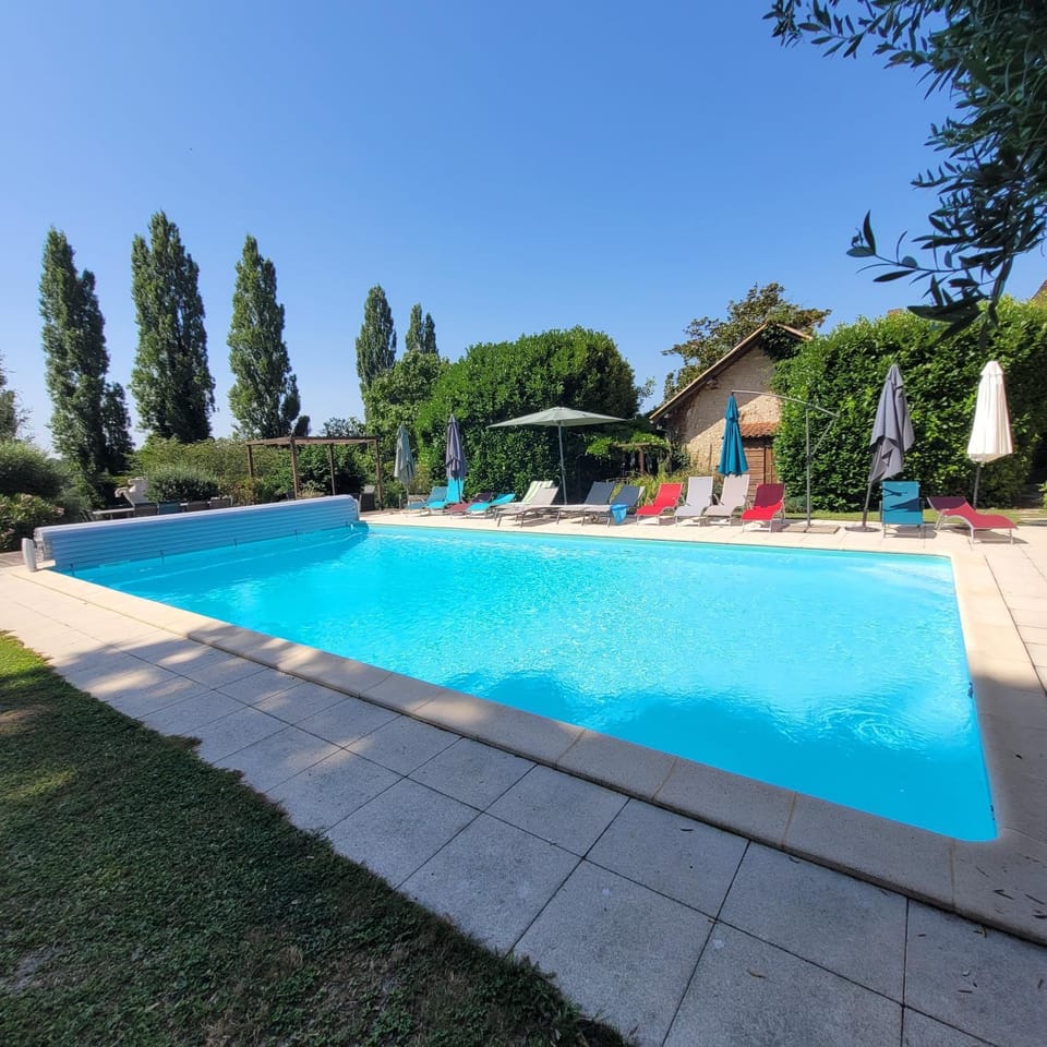 Garden, Swimming pool, sunbed