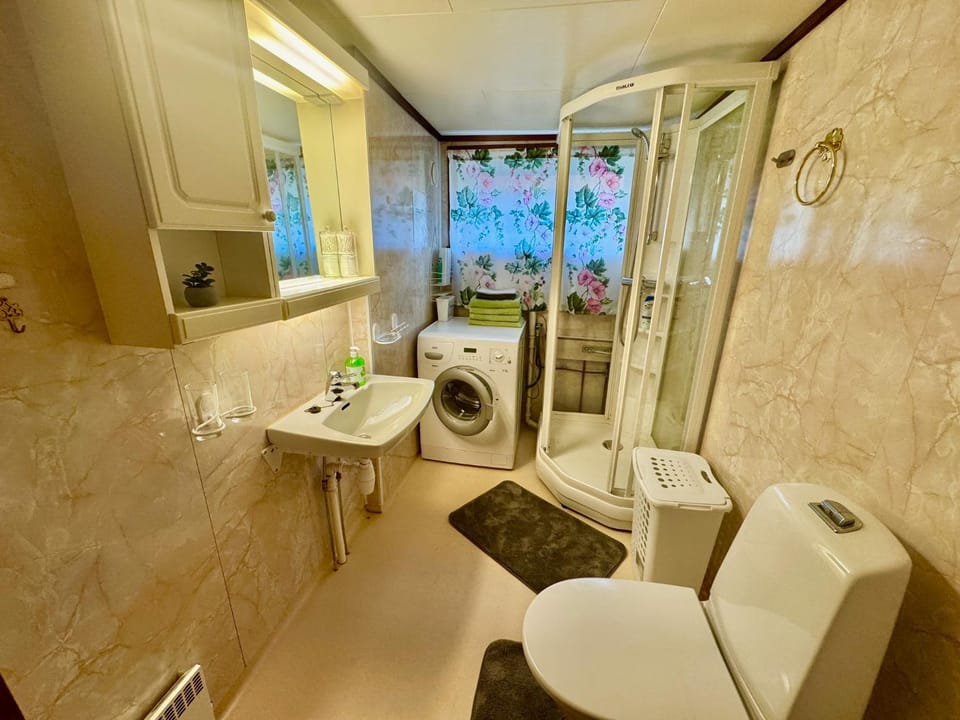 Shower, Toilet, washing machine