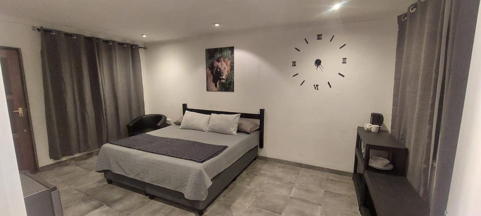 The Big 5 - Lion Bed and Breakfast in Sandton