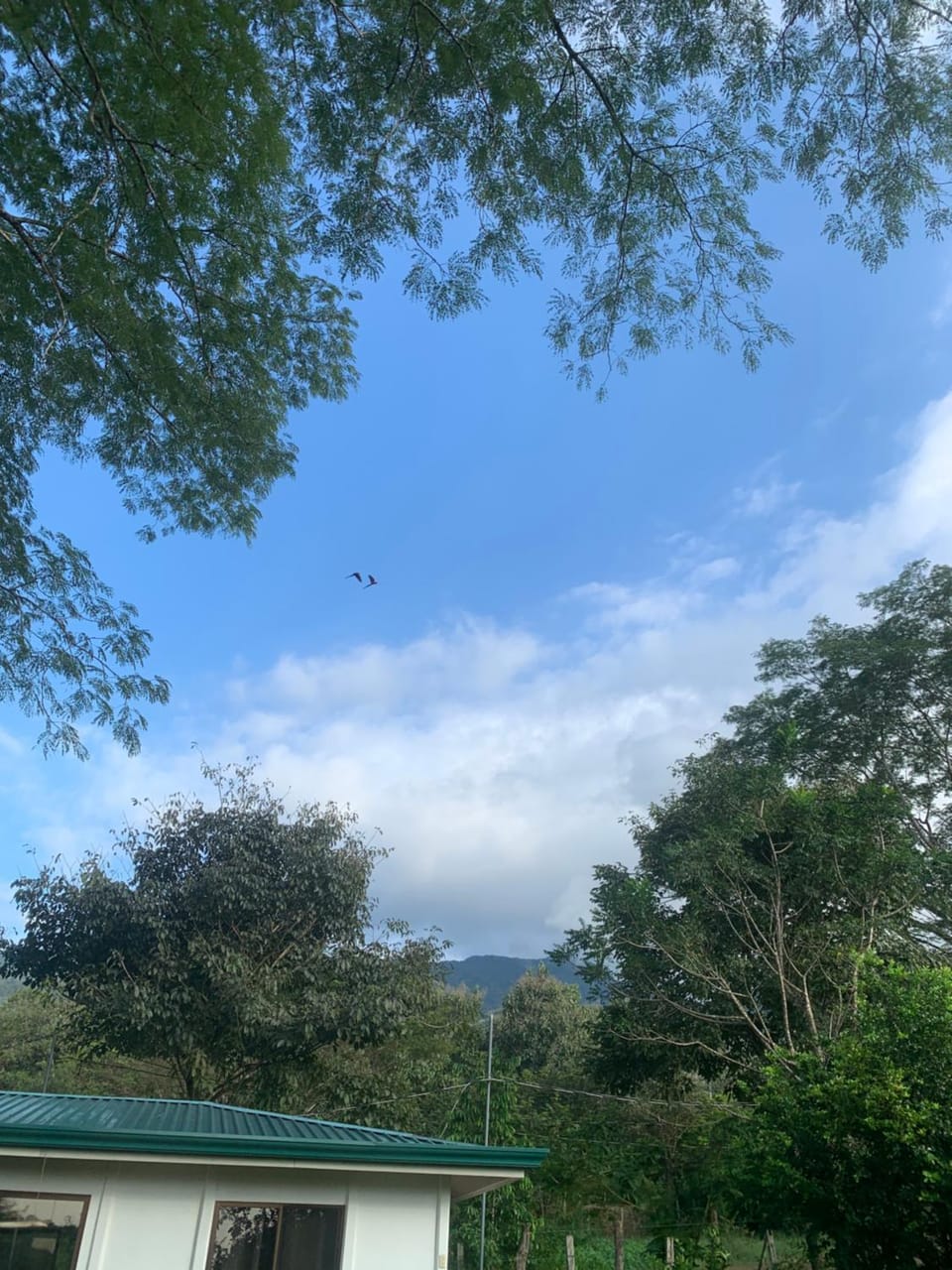 View (from property/room)