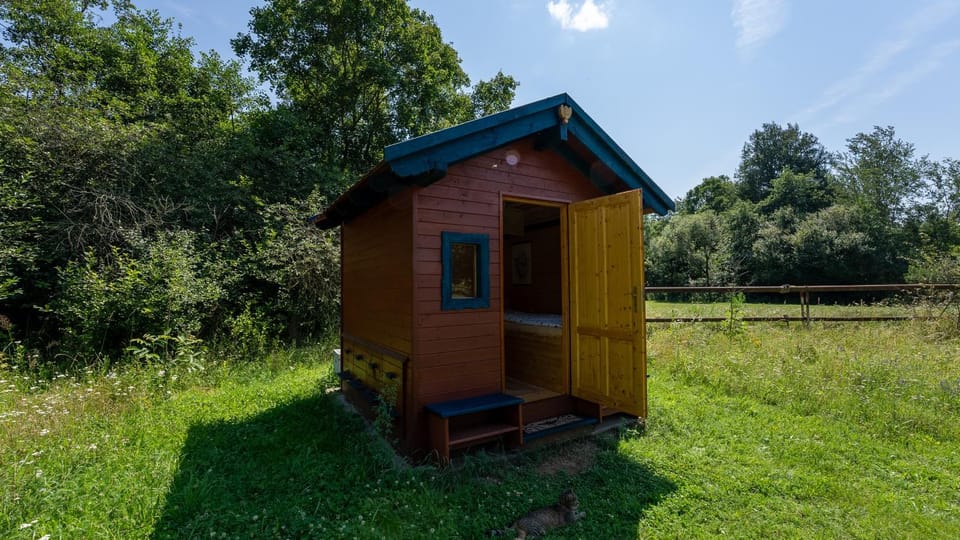 Apidomek House in South Moravian Region