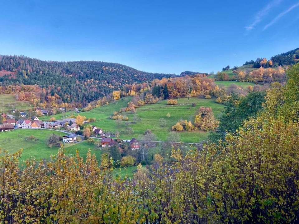 Duplex L'épicéa avec vue panoramique Apartment in Vosges