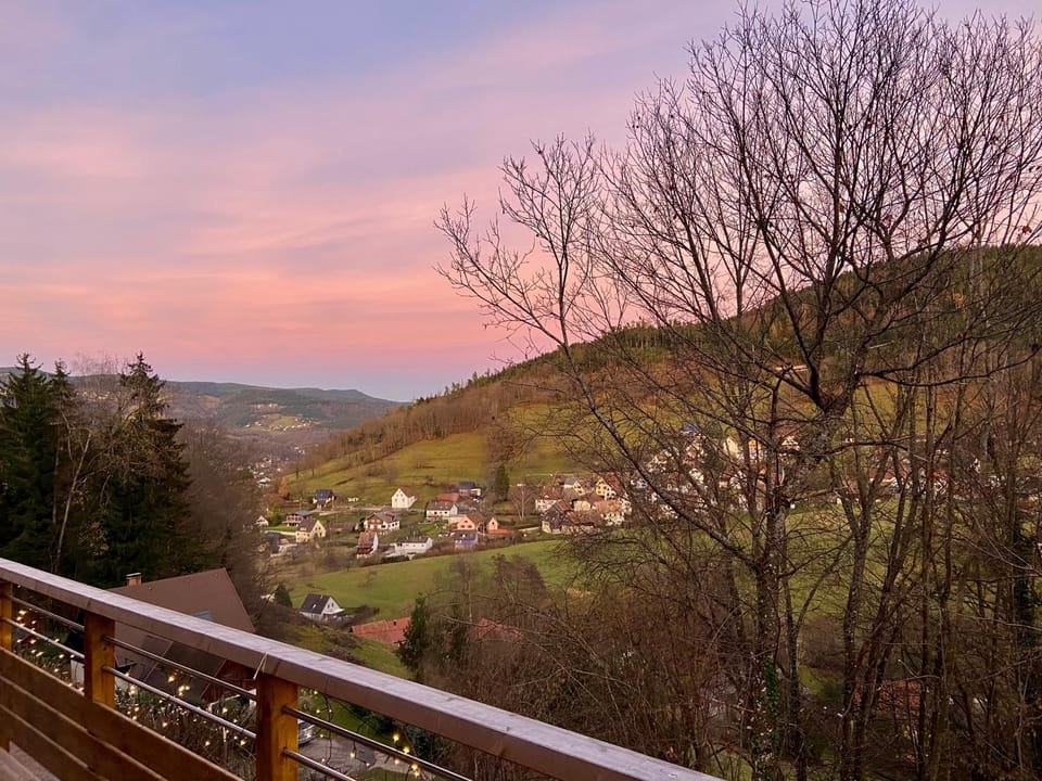 Duplex L'épicéa avec vue panoramique Apartment in Vosges