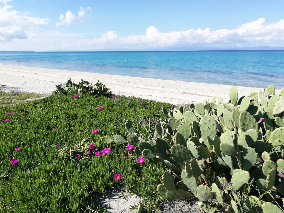 Villa Christina Sea Side A Apartment hotel in Halkidiki