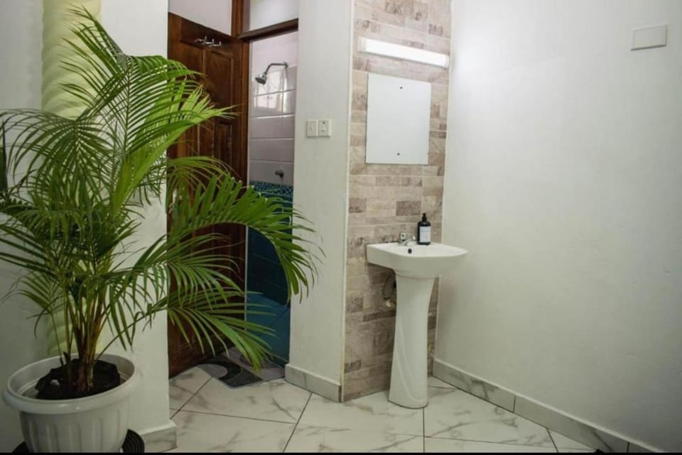 Shower, Toilet