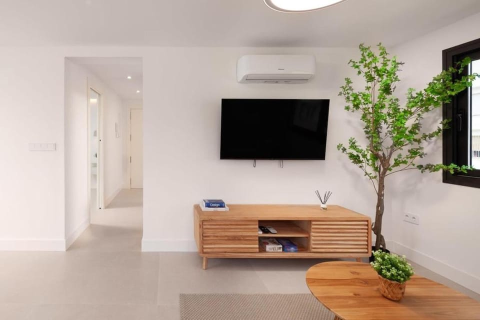 TV and multimedia, air conditioner
