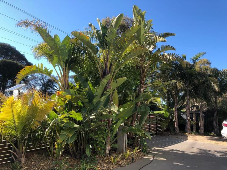 Bermuda Palms Phillip Island - The place to vanish House in Victoria