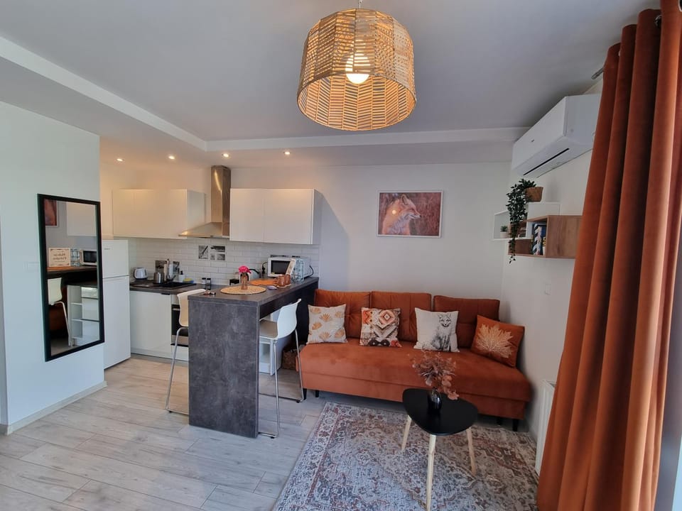 Kitchen or kitchenette, Living room, Seating area, Dining area