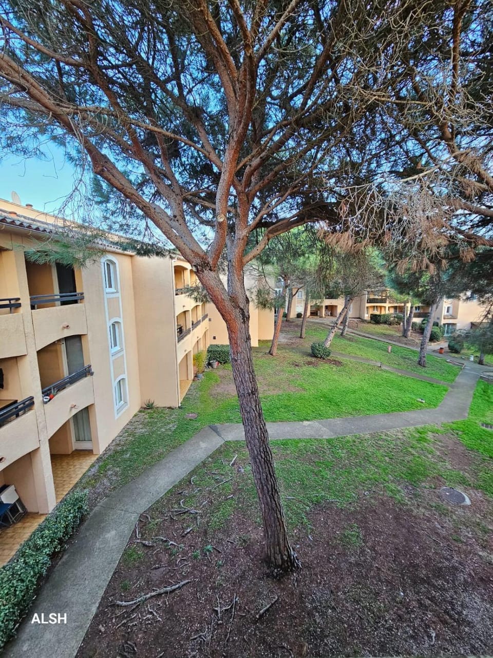 Garden view