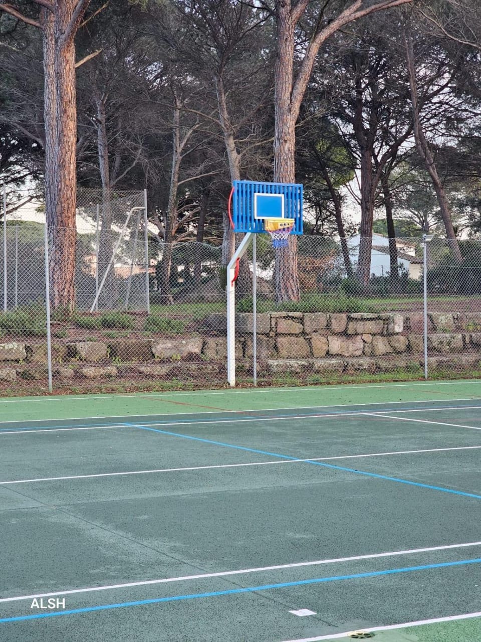 Tennis court