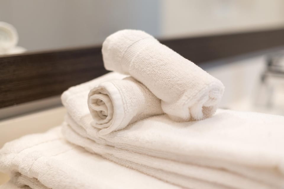 Spectacular Apartments by BCA Furnished Apartments Spec2B 542 B Apartment in Atlanta
