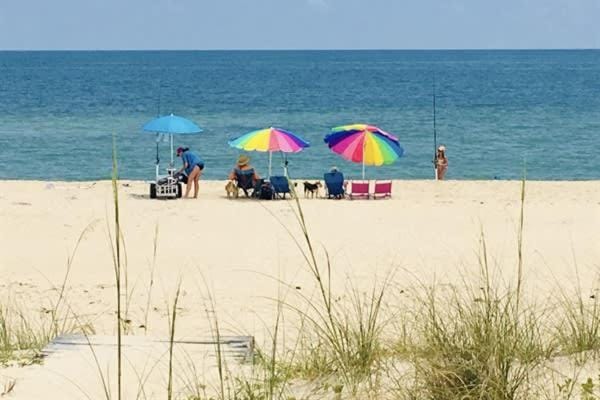 Beachfront Coastal Cottage St George Island House in Saint George Island