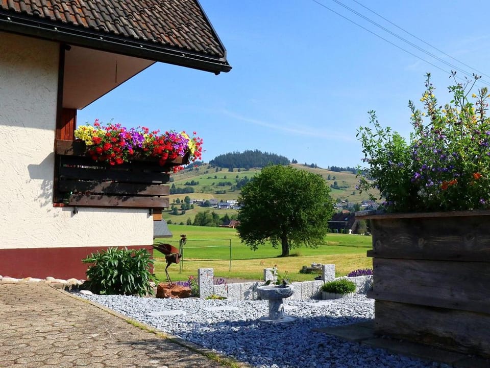 Garden view