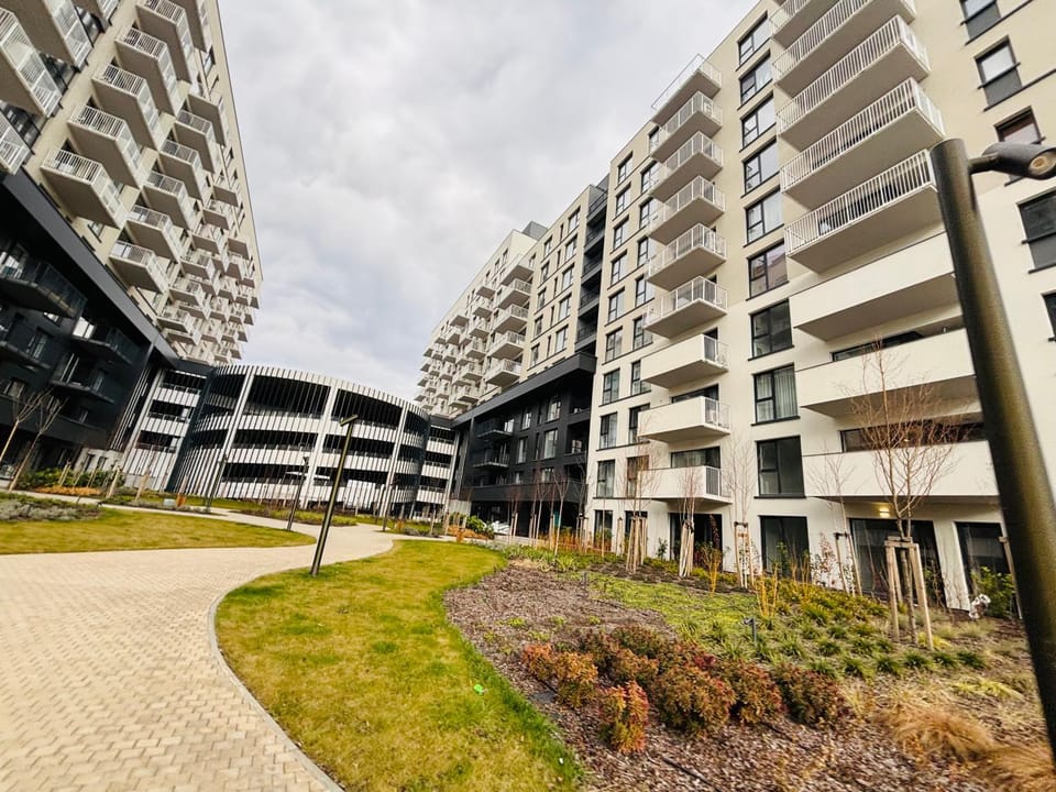 Olive Apartament 2 Apartment in Romania