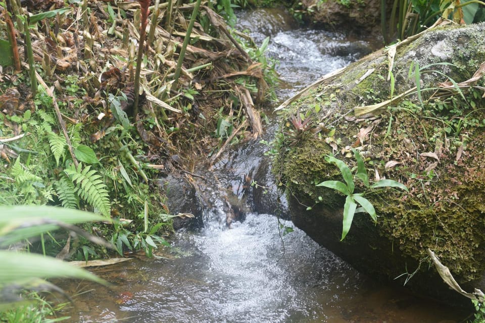 Natural landscape