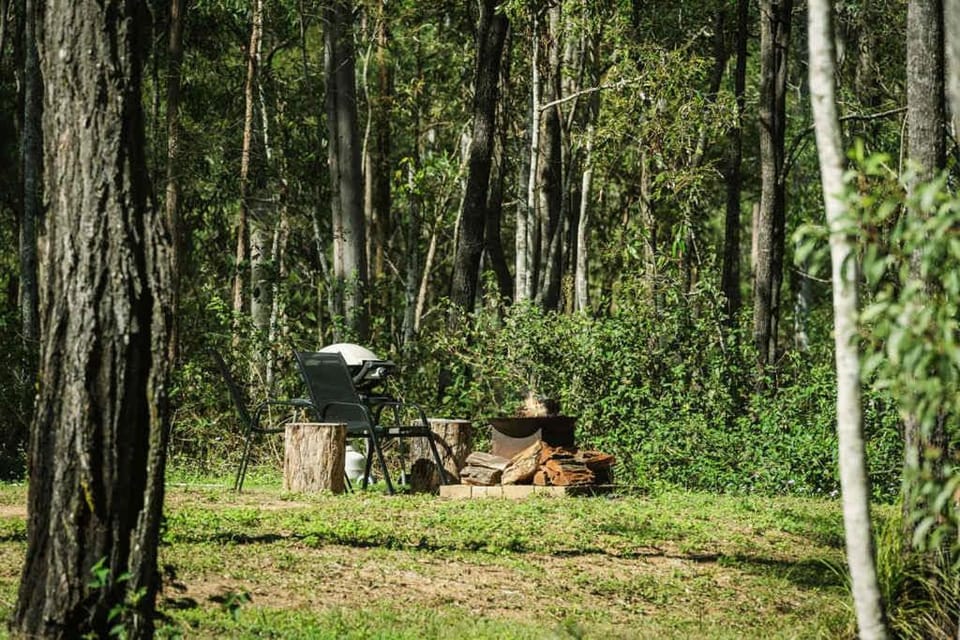 Birdsong Haven by Tiny Away House in Queensland