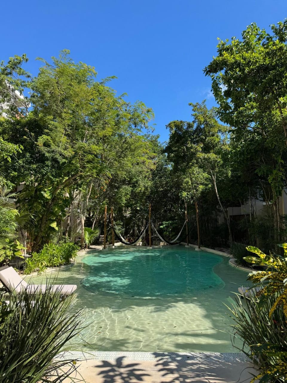 Swimming pool