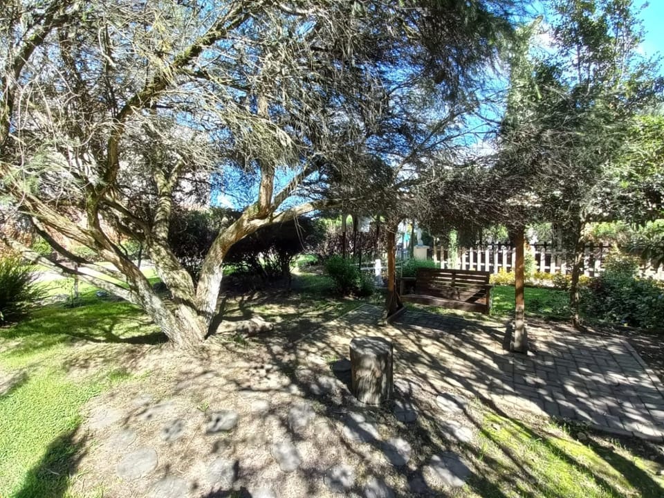 Day, Natural landscape, Garden