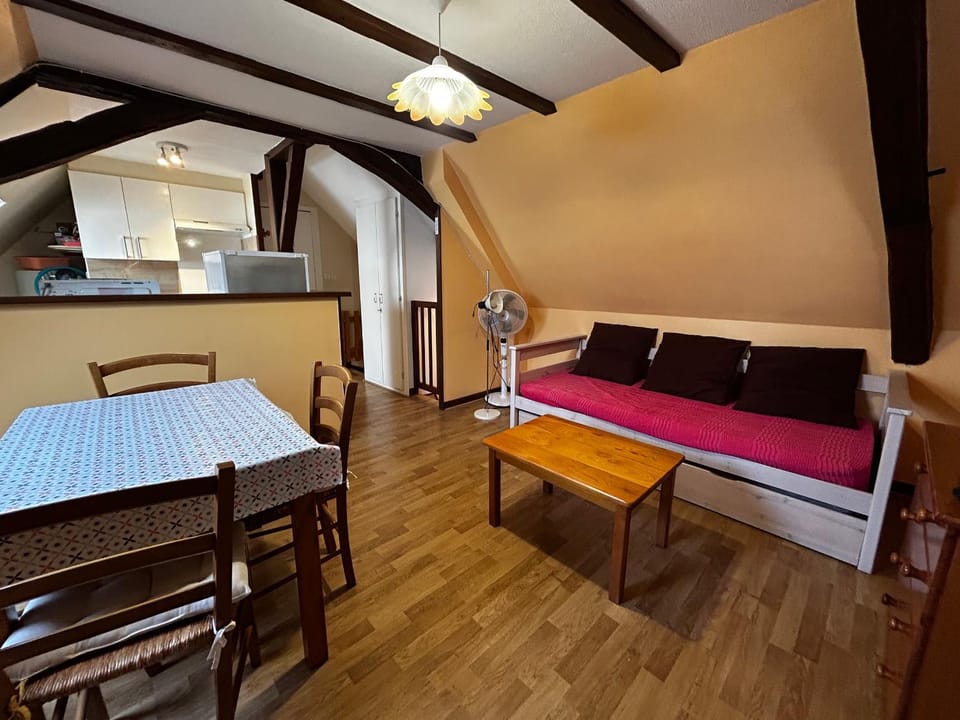 T2 central avec WIFI et parking gratuit à La Roche-Posay - FR-1-541-162 Apartment in Nouvelle-Aquitaine