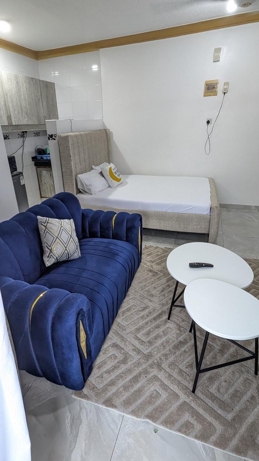 Bed, Kitchen or kitchenette, Living room, Photo of the whole room, Seating area, Dining area, Bedroom