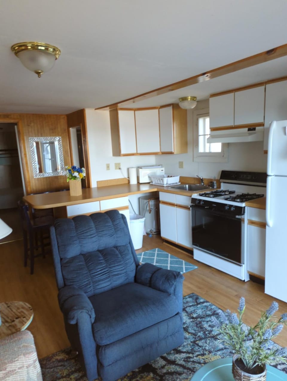 Kitchen or kitchenette, Seating area, Dining area, Lake view, dishwasher, oven, pet friendly, stove