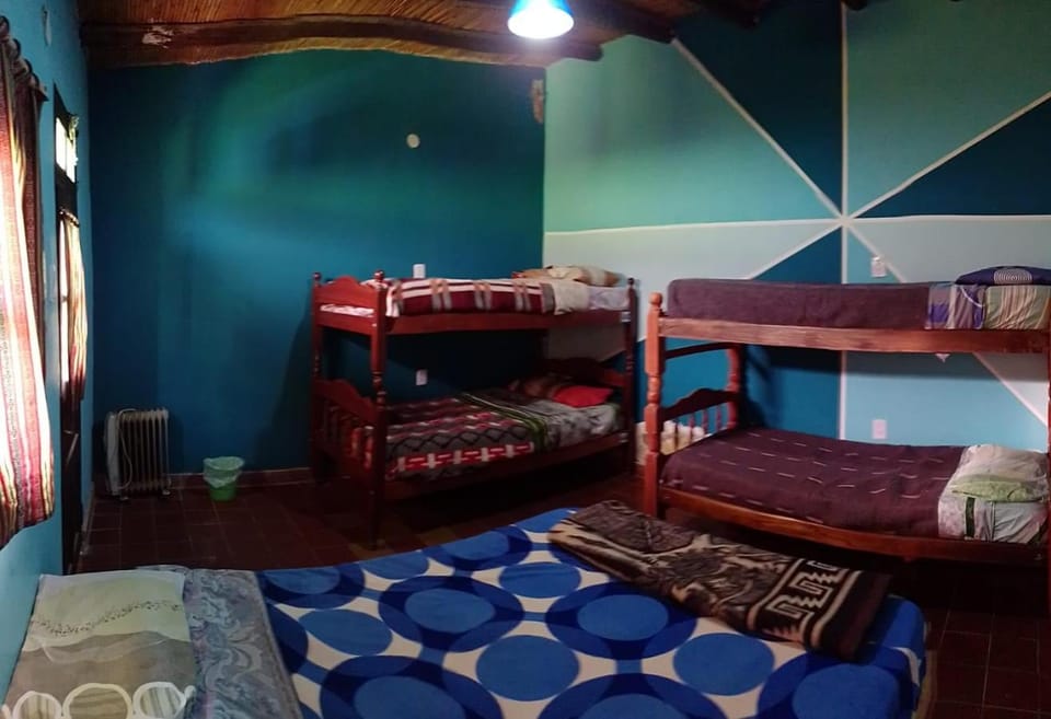 Bed, Photo of the whole room, Bedroom, bunk bed