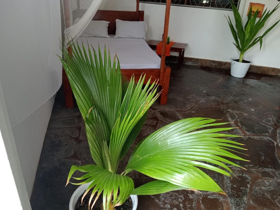 Bella Casa Malindi Casuarina Apartment in Malindi