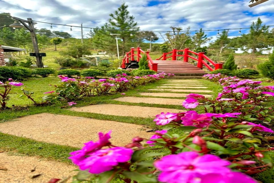Natural landscape, Garden, Garden view