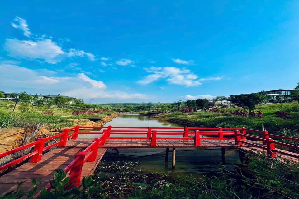 Natural landscape