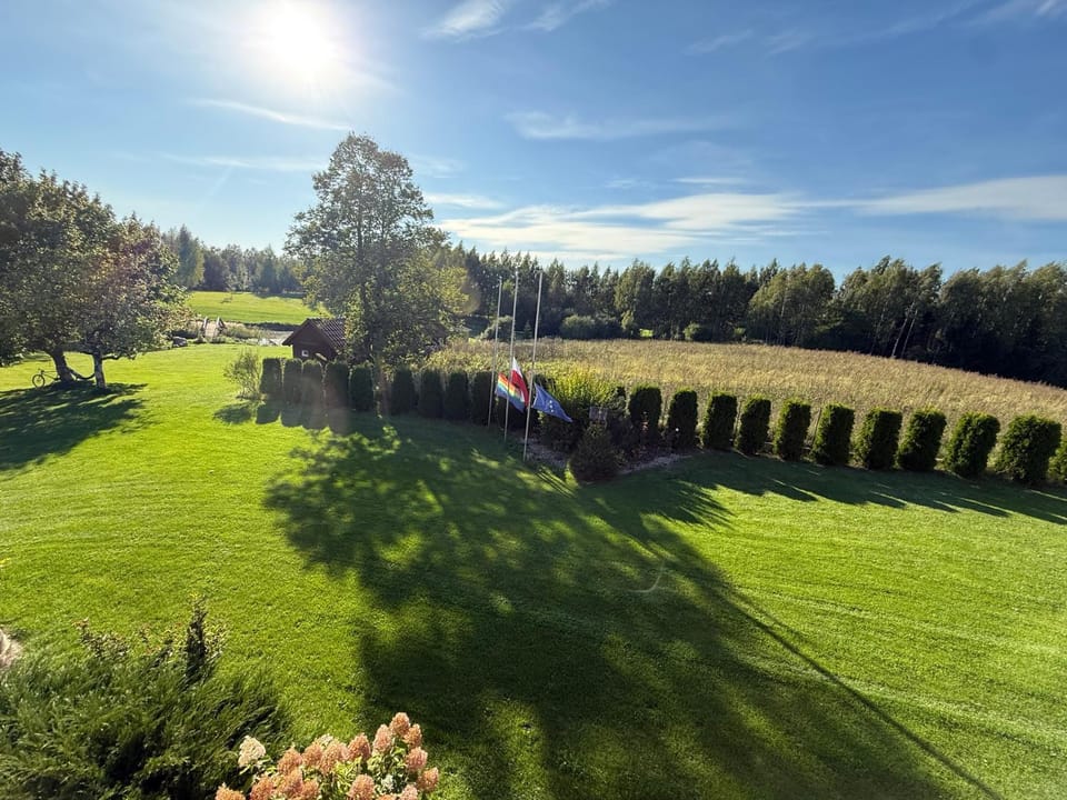 Natural landscape, Garden, Garden view
