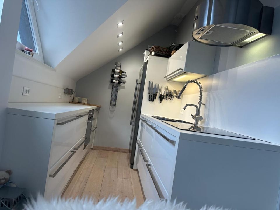 Coffee/tea facilities, Kitchen or kitchenette, dishwasher, oven, stove, toaster, kitchen