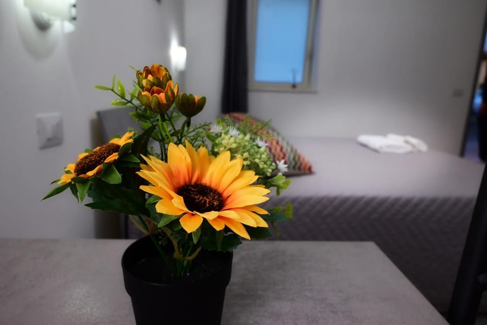 B&B REVOLUTION BED e BREAKFAST Bed and Breakfast in Caserta