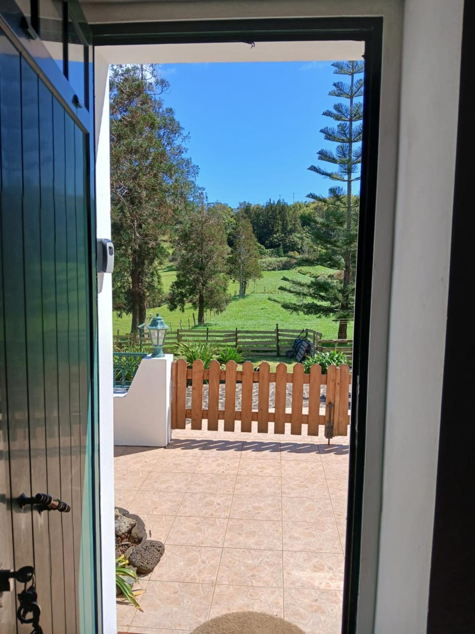 Day, Garden view