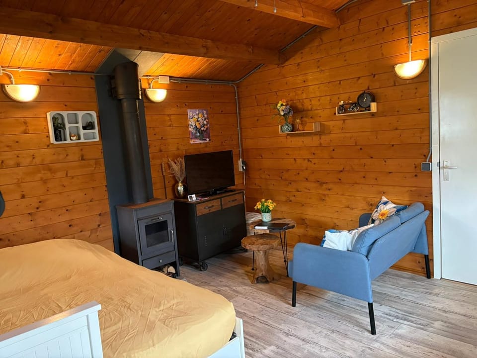 TV and multimedia, Seating area, fireplace