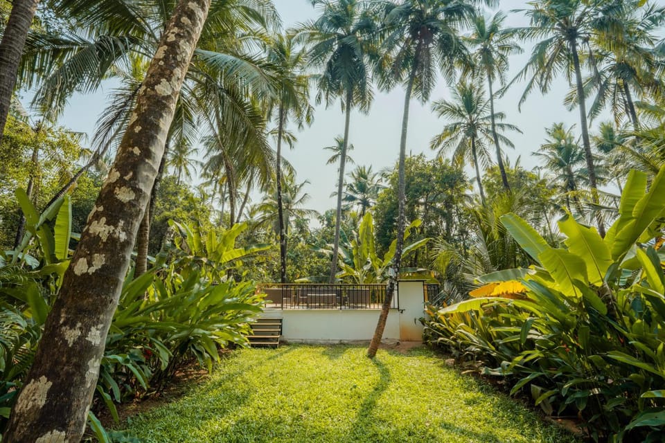Day, Natural landscape, Garden, Garden view