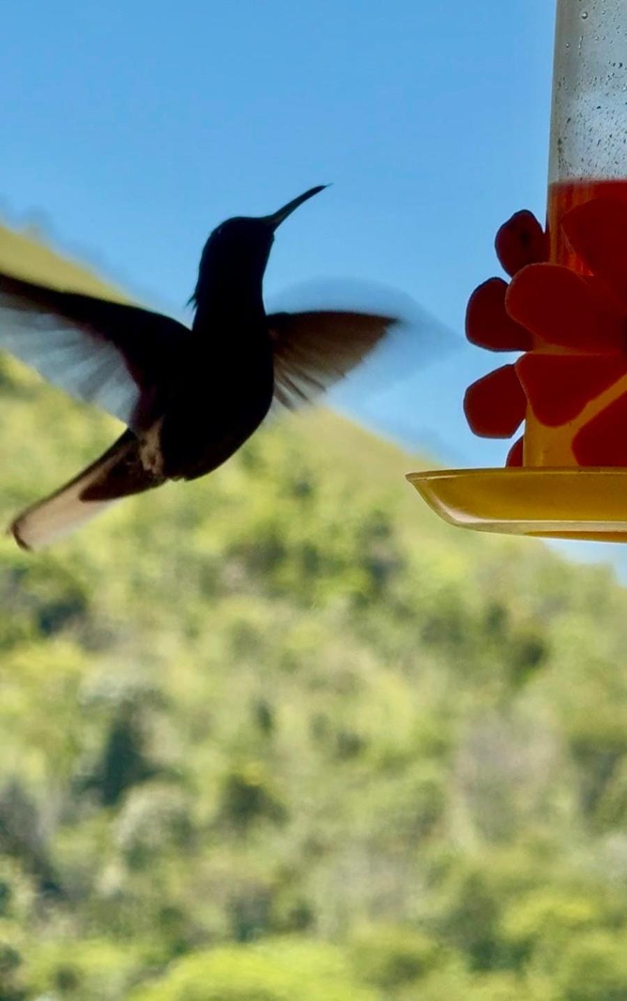 Itaipava Cama e Café Bed and Breakfast in State of Rio de Janeiro