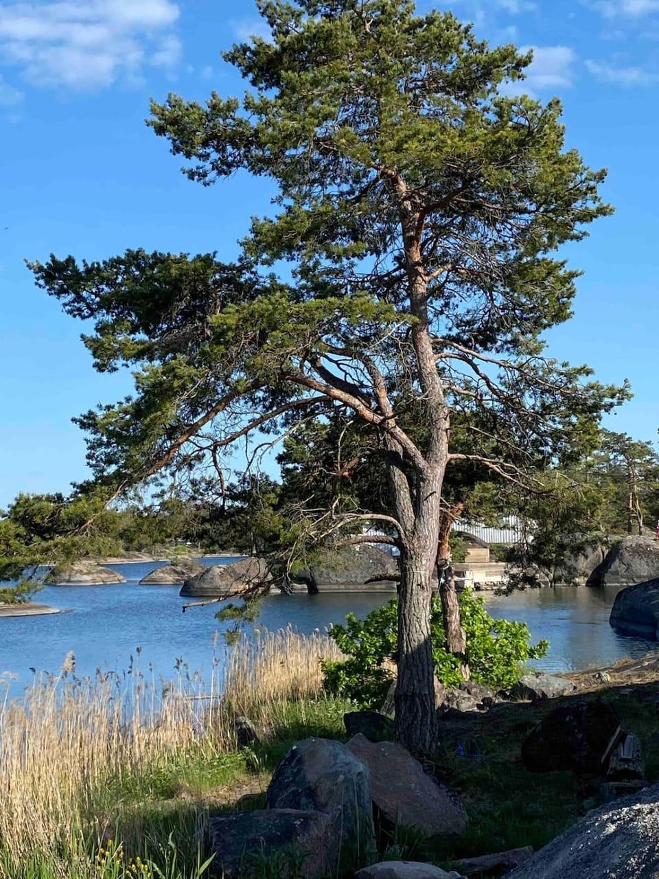 Peaceful little cabin by the sea Cabin in Kalmar County, Sweden