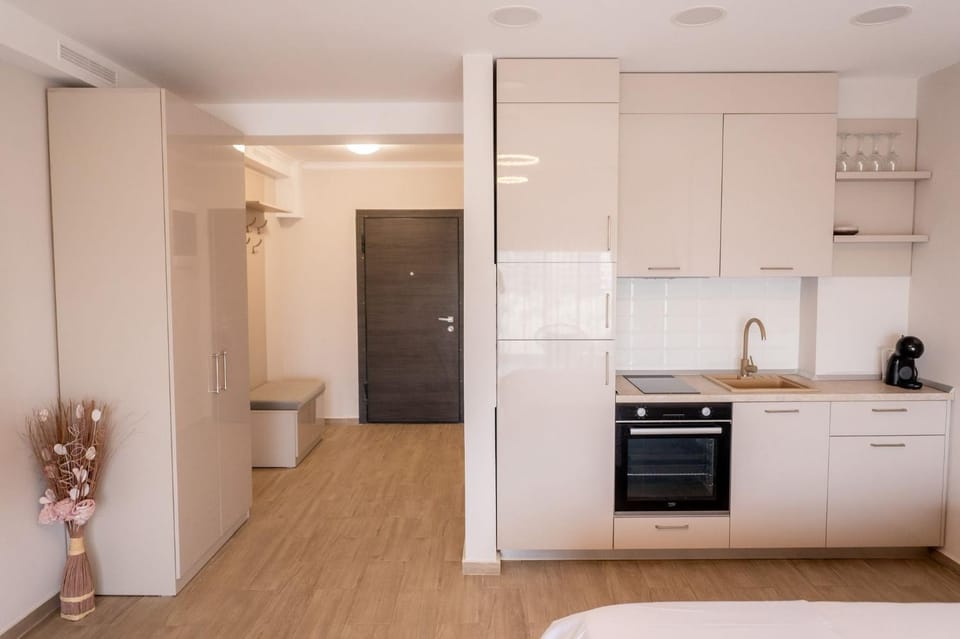 Kitchen or kitchenette, oven, stove, wardrobe
