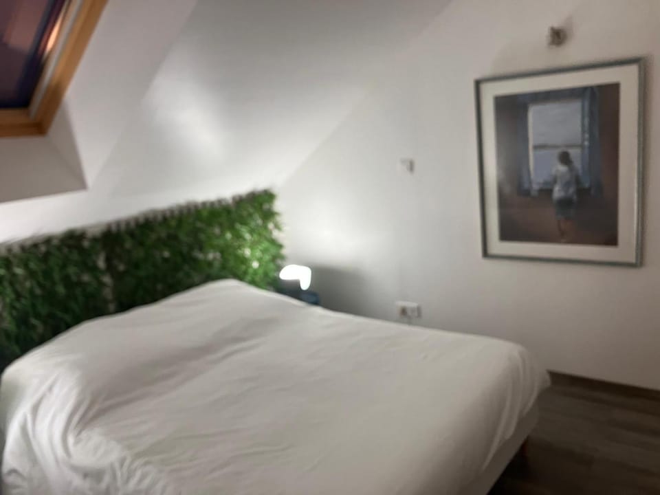 Duplex coloré et lumineux Apartment in Île-de-France