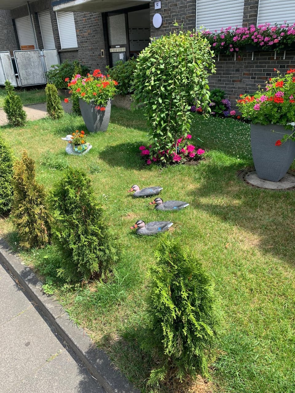 Property building, Garden