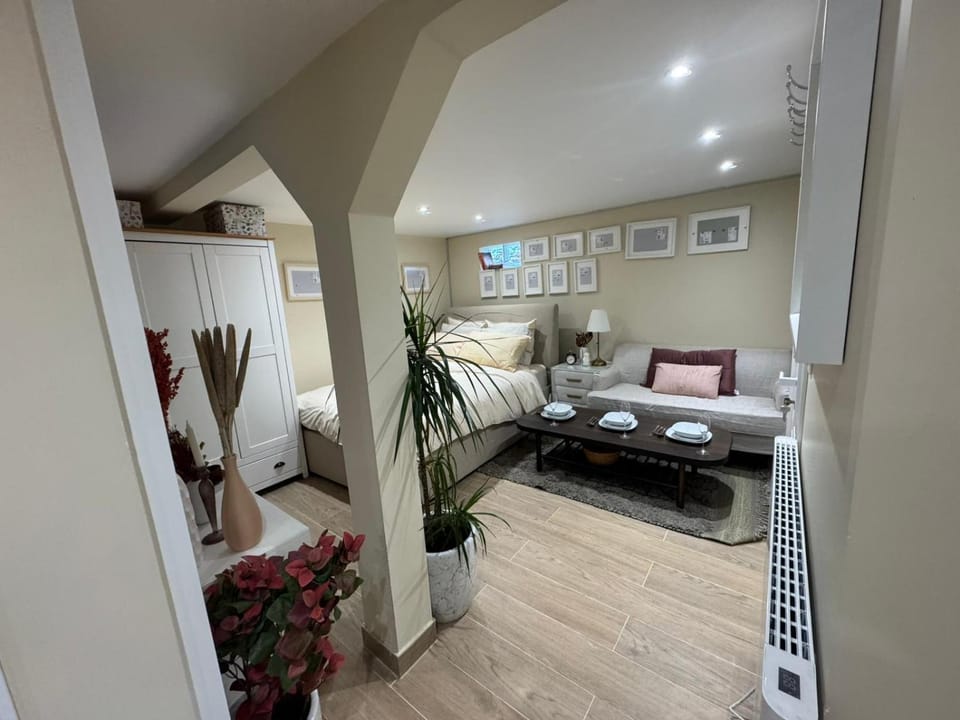 Appartement F1 climatisée rez de chaussée Apartment in Illkirch-Graffenstaden