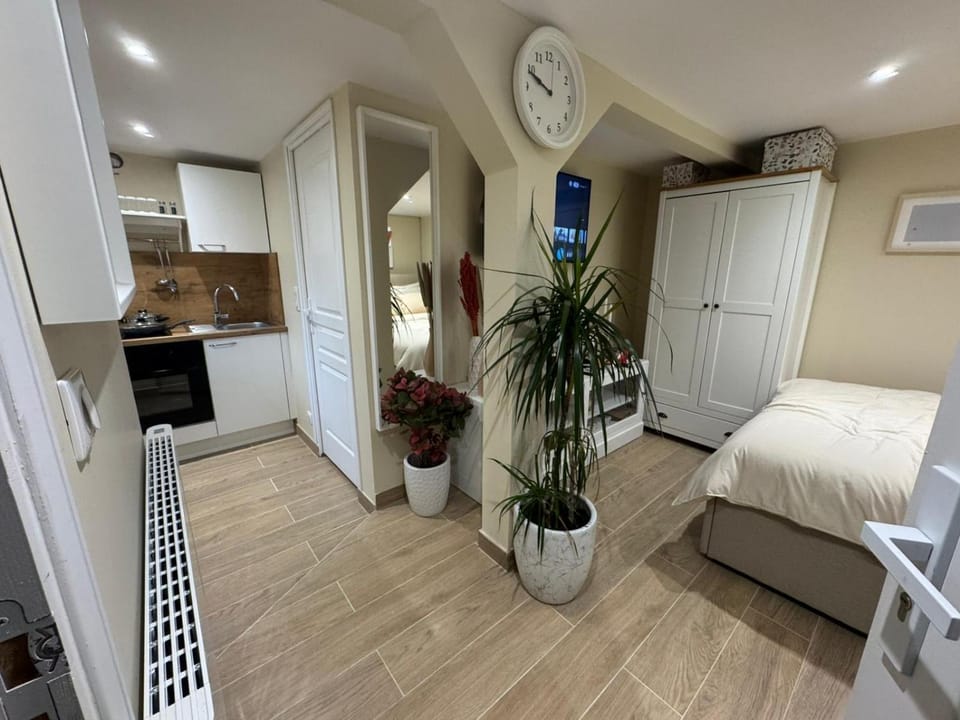 Appartement F1 climatisée rez de chaussée Apartment in Illkirch-Graffenstaden