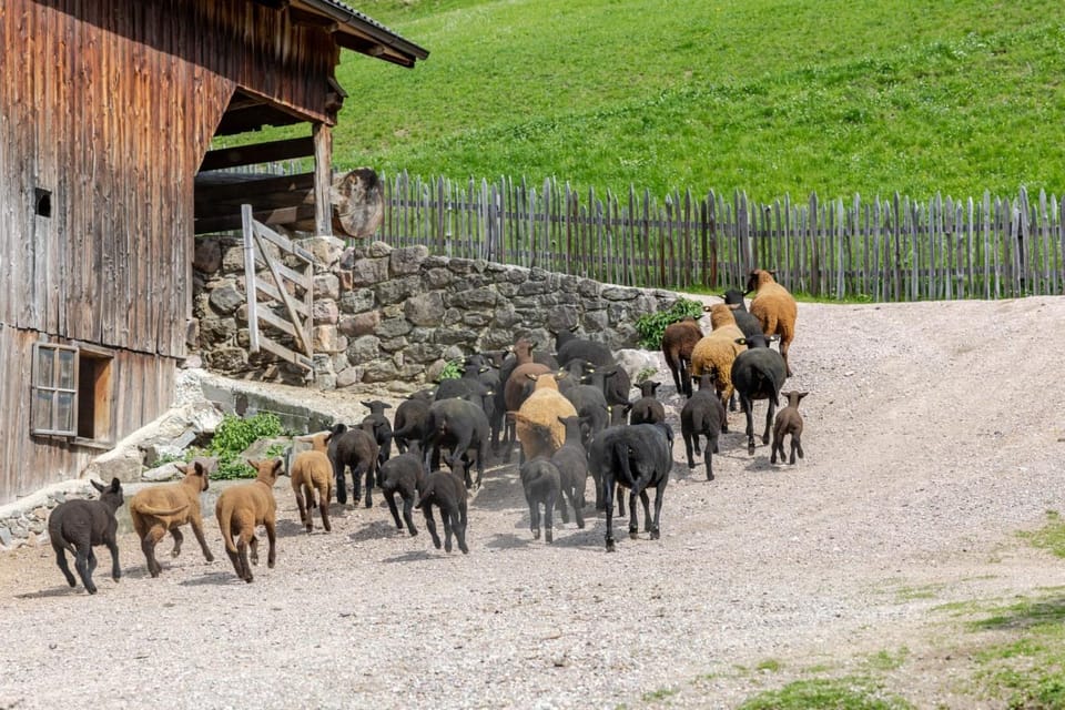 Garmesegghof Farm Stay in Trentino-South Tyrol