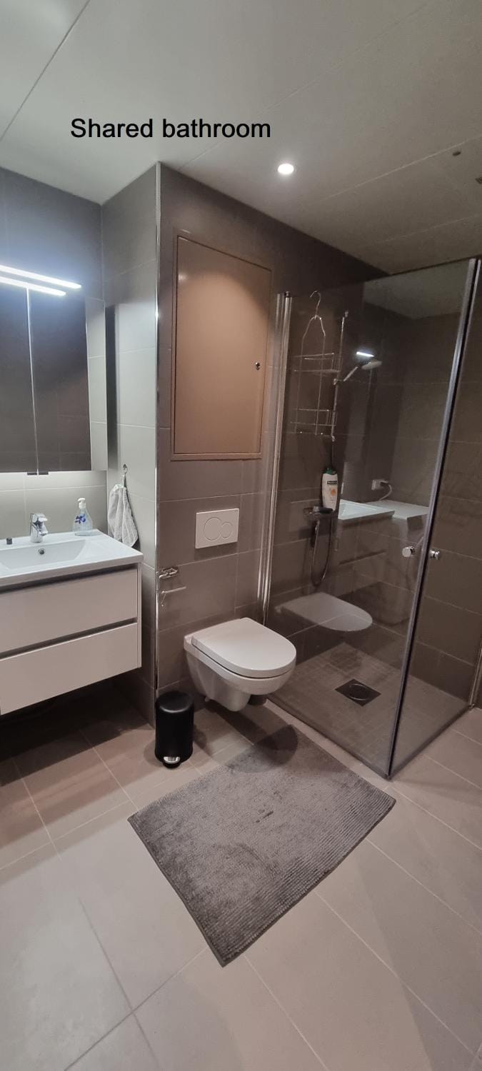 Shower, Toilet, Bathroom, Internal: Not applicable to any particular room