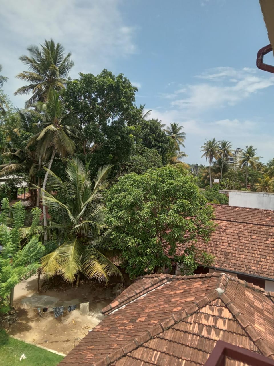 View (from property/room)
