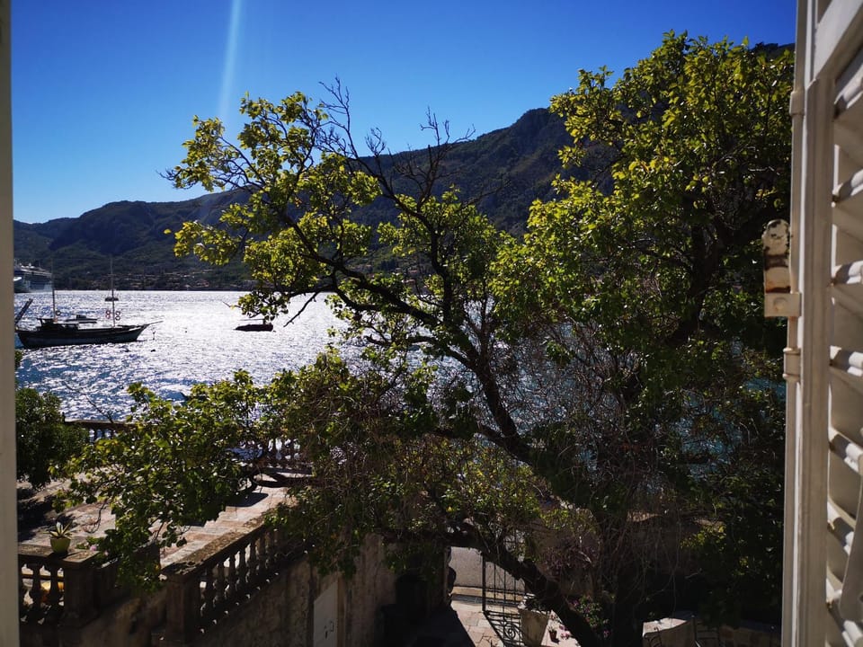 Tartana 1 Apartment in Dobrota