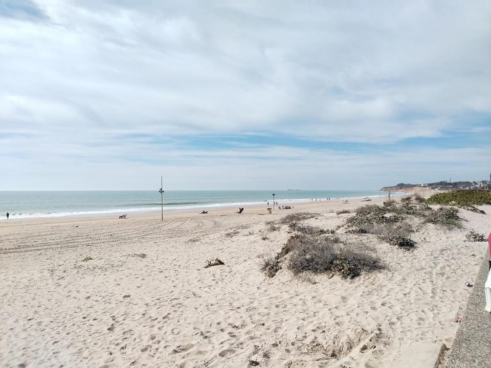 Nearby landmark, Natural landscape, Beach