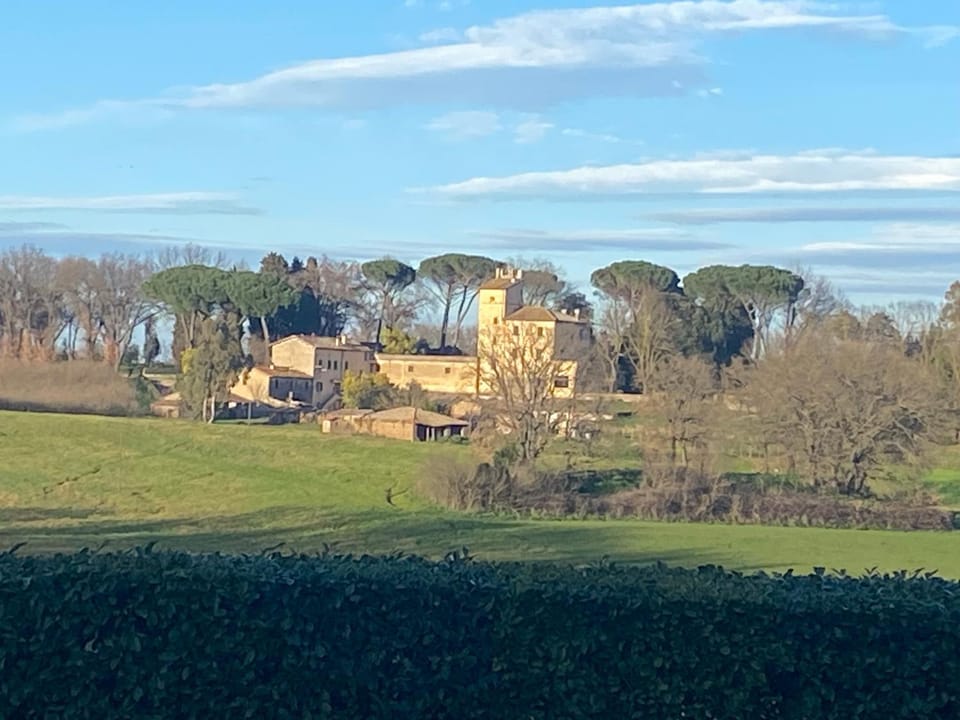View (from property/room)