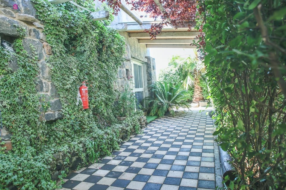 חדרי אירוח נוף לחרמון בוקעתא Bed and Breakfast in North District