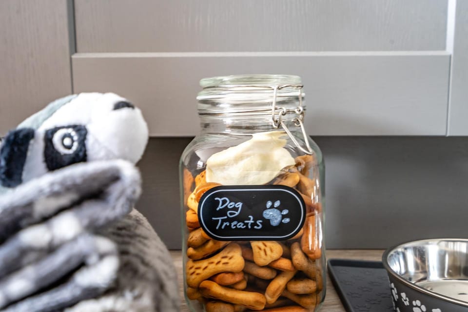 pet friendly